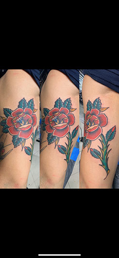 tattoo,aces,high,alex,rockoff,alexrockoff,west,palm,beach,traditional,neotraditional,beetle,beatle,flower,sunflower,floral,color