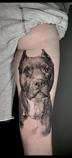 tattoo,aces,high,alex,rockoff,alexrockoff,west,palm,beach,traditional,neotraditional,beetle,beatle,flower,sunflower,floral,color