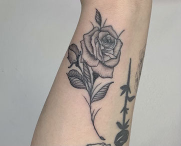 tattoo,aces,high,alex,rockoff,alexrockoff,west,palm,beach,traditional,neotraditional,beetle,beatle,flower,sunflower,floral,color