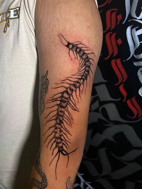 tattoo,aces,high,alex,rockoff,alexrockoff,west,palm,beach,traditional,neotraditional,beetle,beatle,flower,sunflower,floral,color